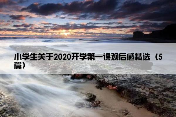 小学生关于2020开学第一课观后感精选（5篇）