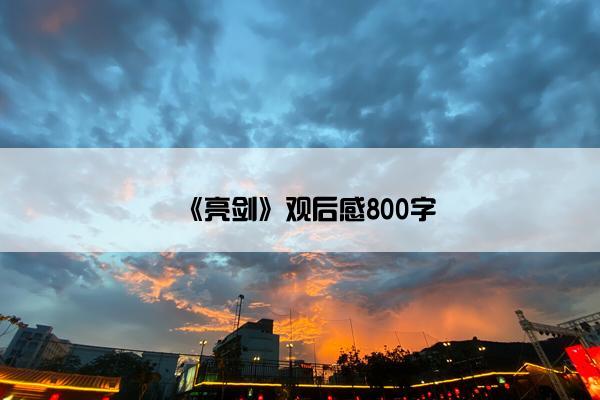 《亮剑》观后感800字