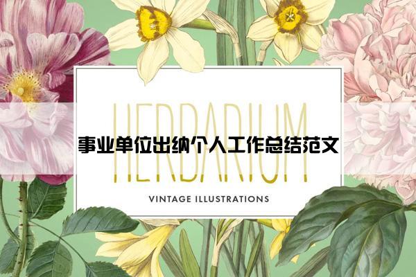 事业单位出纳个人工作总结范文