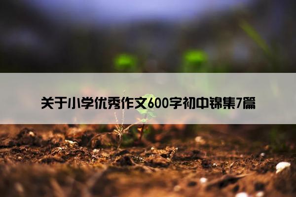 关于小学优秀作文600字初中锦集7篇