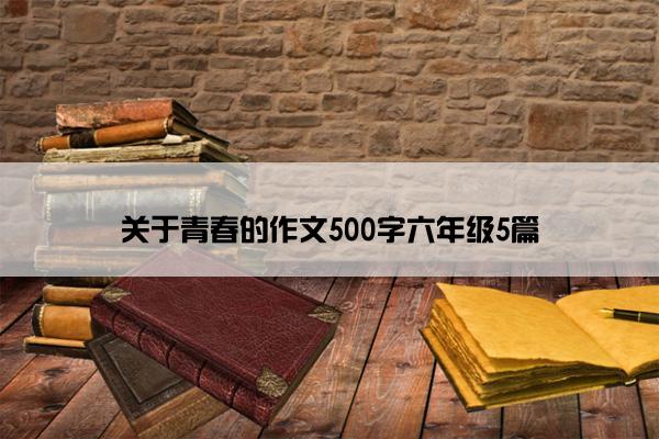 关于青春的作文500字六年级5篇