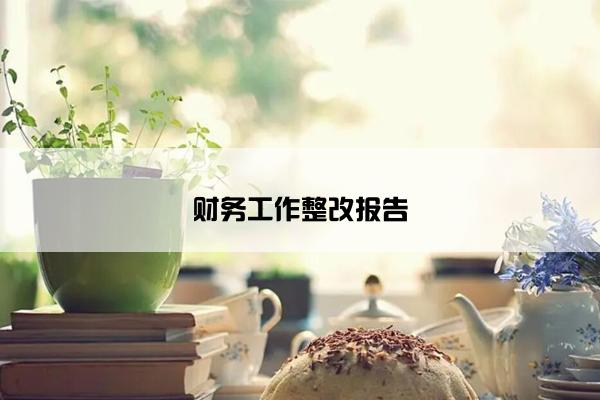 财务工作整改报告 财务工作整改报告