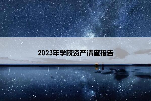 2023年学校资产清查报告