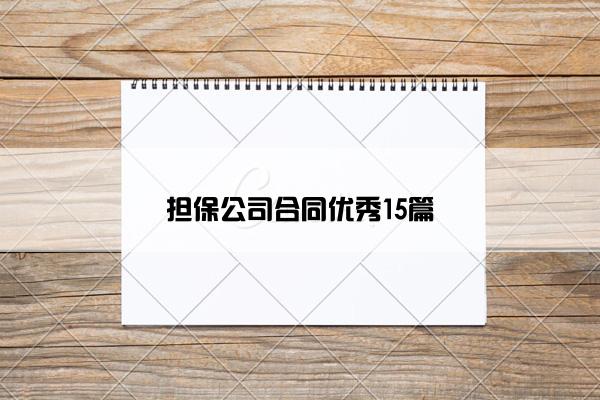 担保公司合同优秀15篇
