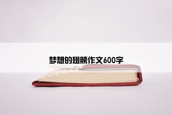 梦想的翅膀作文600字