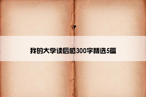 我的大学读后感300字精选5篇