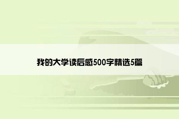 我的大学读后感500字精选5篇