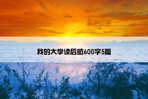 我的大学读后感600字5篇