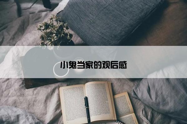 小鬼当家的观后感