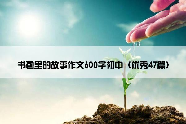 书包里的故事作文600字初中（优秀47篇）