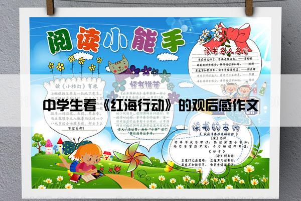中学生看《红海行动》的观后感作文