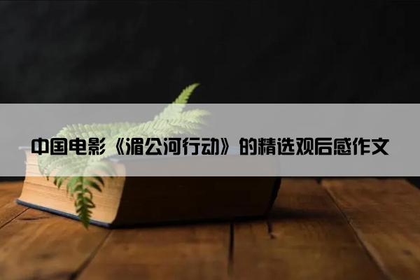 中国电影《湄公河行动》的精选观后感作文