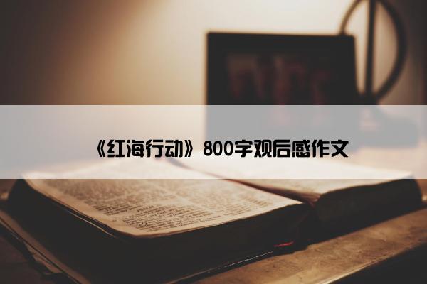 《红海行动》800字观后感作文