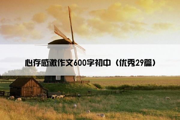心存感激作文600字初中（优秀29篇）