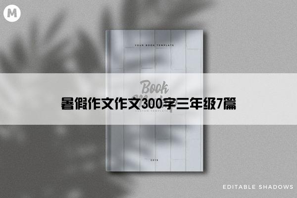 暑假作文作文300字三年级7篇