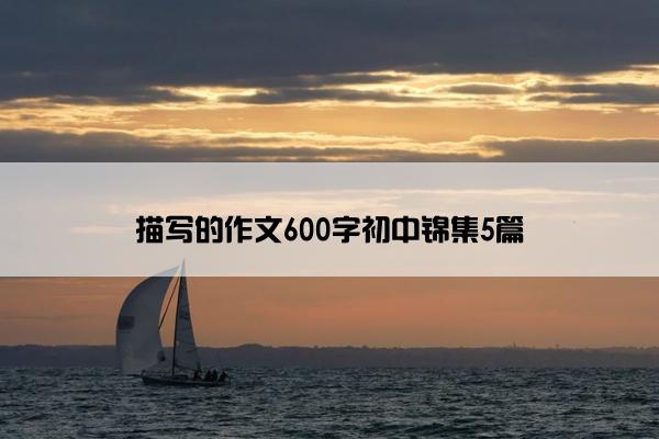 描写的作文600字初中锦集5篇