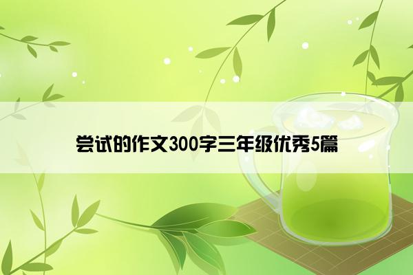 尝试的作文300字三年级优秀5篇 尝试的作文300字三年级优秀5篇