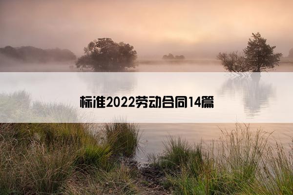 标准2022劳动合同14篇 标准2022劳动合同14篇