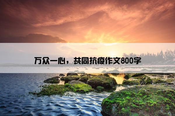 万众一心，共同抗疫作文800字