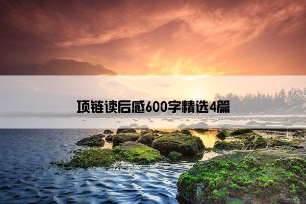 项链读后感600字精选4篇