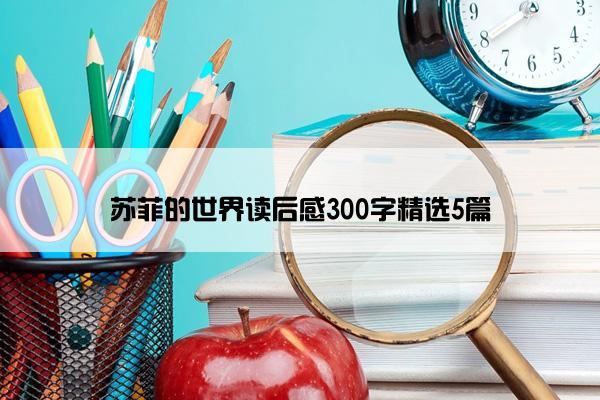 苏菲的世界读后感300字精选5篇