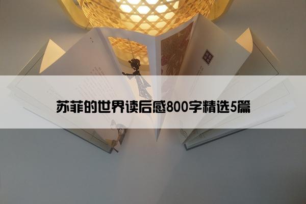 苏菲的世界读后感800字精选5篇 苏菲的世界读后感800字精选5篇