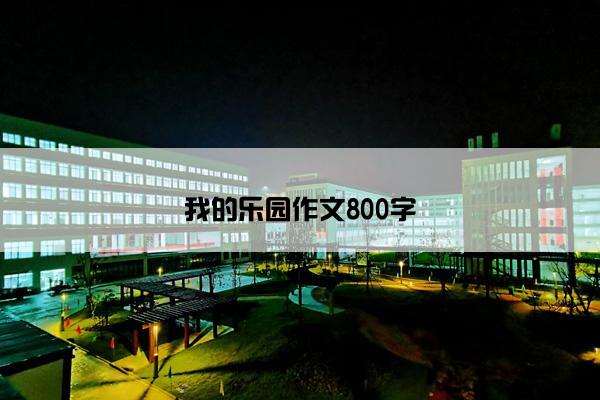 我的乐园作文800字