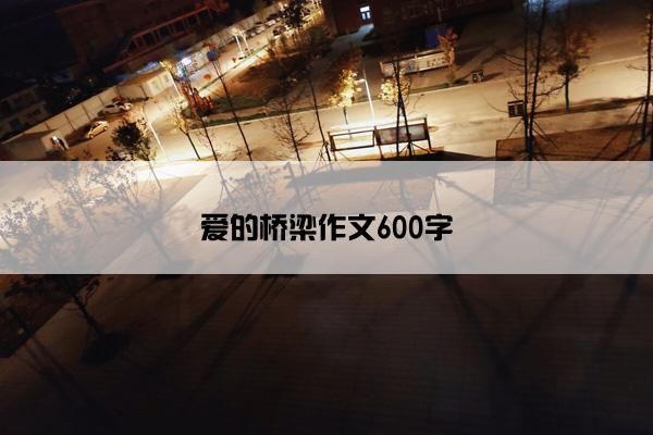 爱的桥梁作文600字