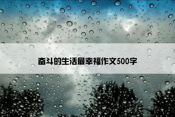 奋斗的生活最幸福作文500字