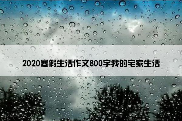 2020寒假生活作文800字我的宅家生活 2020寒假生活作文800字我的宅家生活