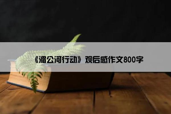 《湄公河行动》观后感作文800字