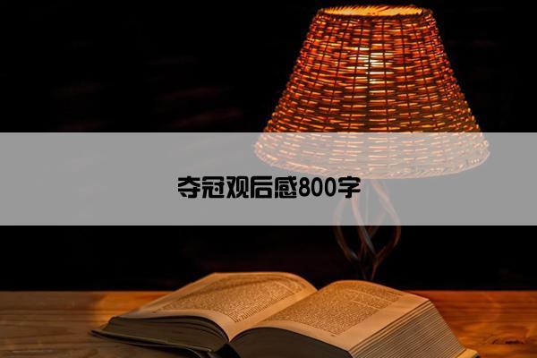 夺冠观后感800字 夺冠观后感800字