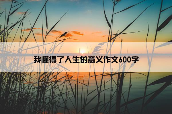 我懂得了人生的意义作文600字