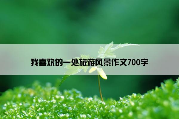 我喜欢的一处旅游风景作文700字 我喜欢的一处旅游风景作文700字