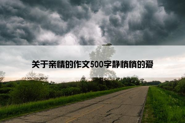 关于亲情的作文500字静悄悄的爱