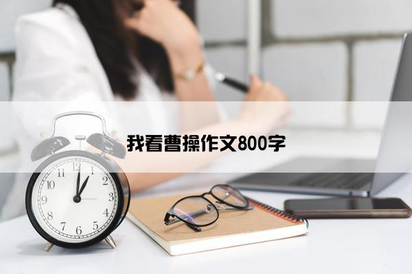 我看曹操作文800字 我看曹操作文800字