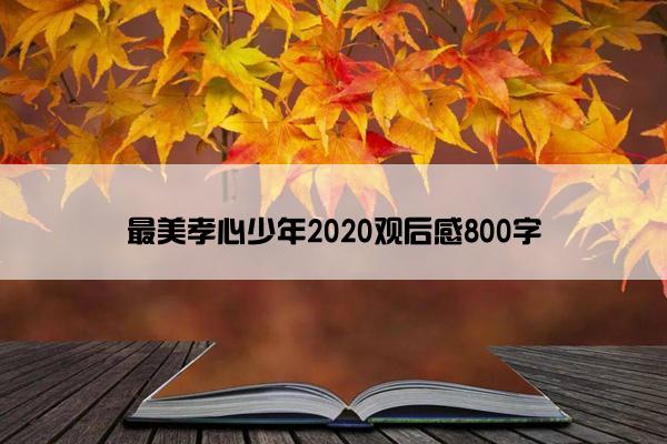 最美孝心少年2020观后感800字