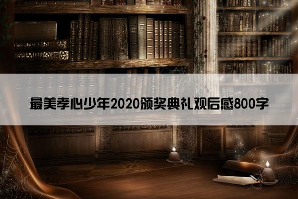 最美孝心少年2020颁奖典礼观后感800字
