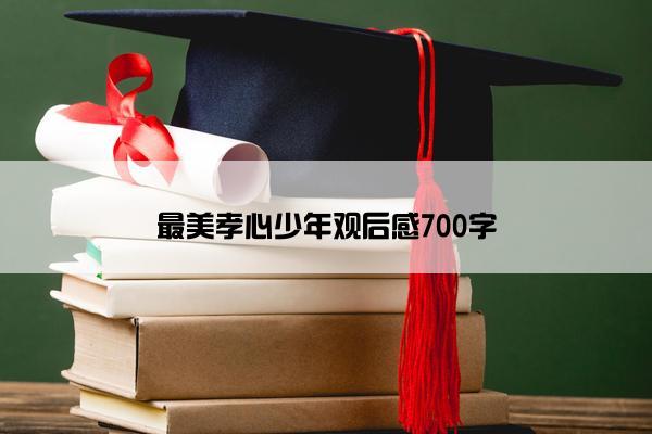 最美孝心少年观后感700字