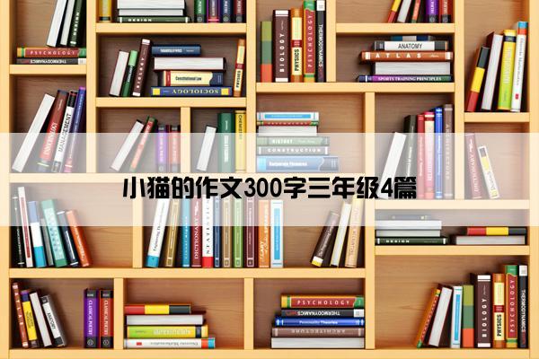 小猫的作文300字三年级4篇
