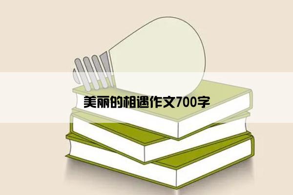 美丽的相遇作文700字 美丽的相遇作文700字