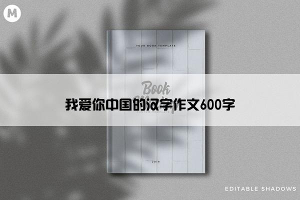 我爱你中国的汉字作文600字