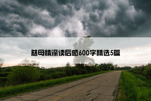 慈母情深读后感600字精选5篇