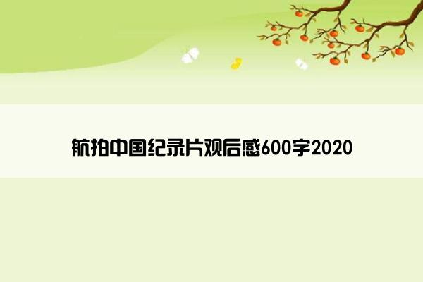 航拍中国纪录片观后感600字2020