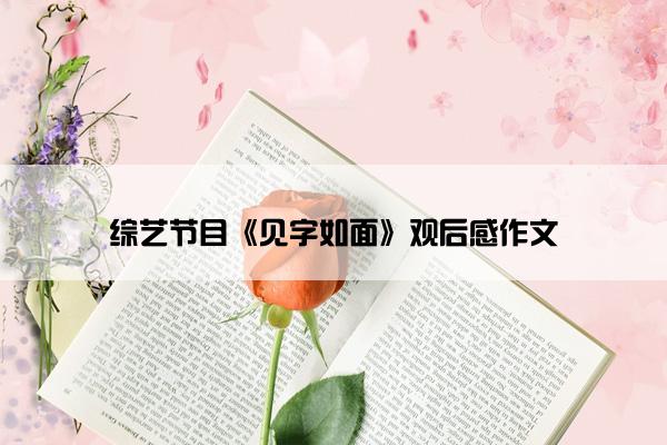 综艺节目《见字如面》观后感作文