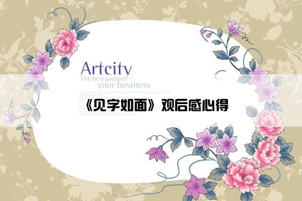 《见字如面》观后感心得