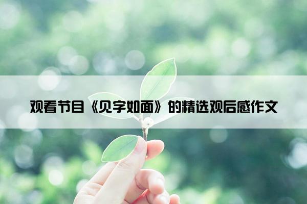 观看节目《见字如面》的精选观后感作文