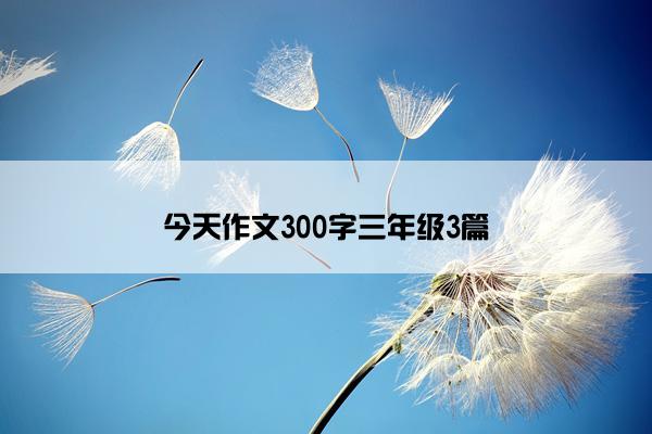 今天作文300字三年级3篇