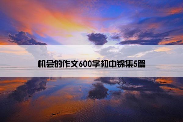 机会的作文600字初中锦集5篇 机会的作文600字初中锦集5篇