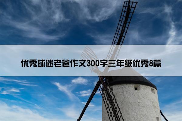 优秀球迷老爸作文300字三年级优秀8篇 优秀球迷老爸作文300字三年级优秀8篇